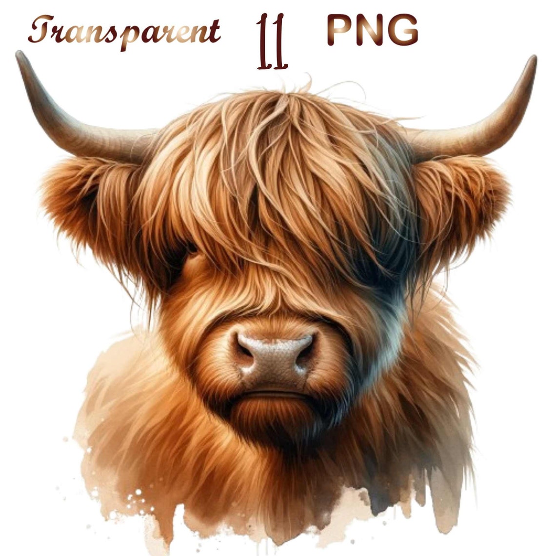 Highland Cow PNG Clipart Bundle: Scottish Heifer Graphics (digital ...