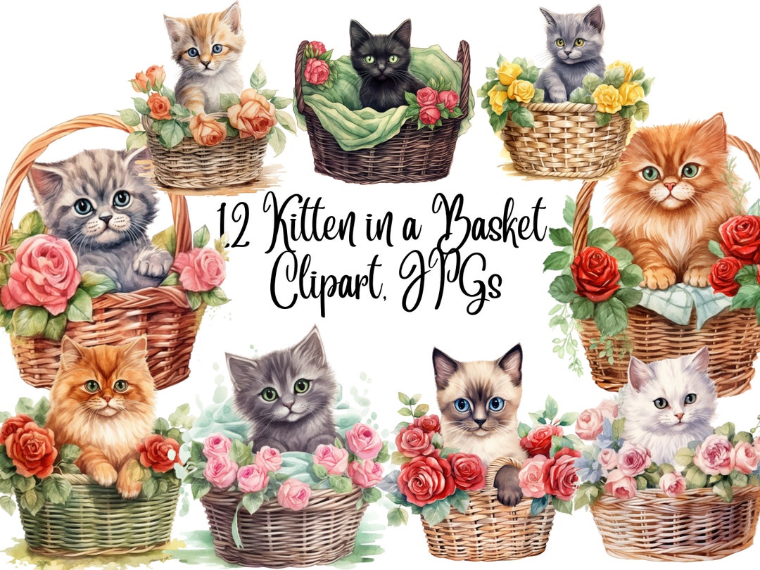 ワンピース Kitten in Flower Basket Amavel ワンピース Kitten in Flower Basket Amavel Kitten in Flower
