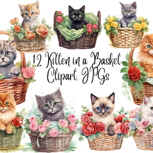 12 Kitten in a basket Clipart, Kitten Clipart JPGs, Cat Clipart, Kitten Clip art, Cute Cat clipart, Commercial Use, Digital Download