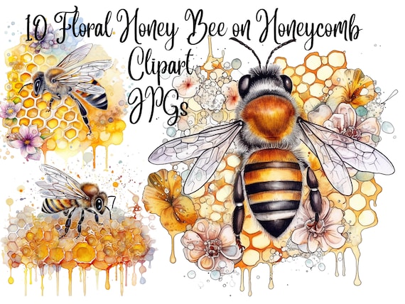 10 Floral Honey Bee on Honeycomb, High Quality Jpgs, Watercolor