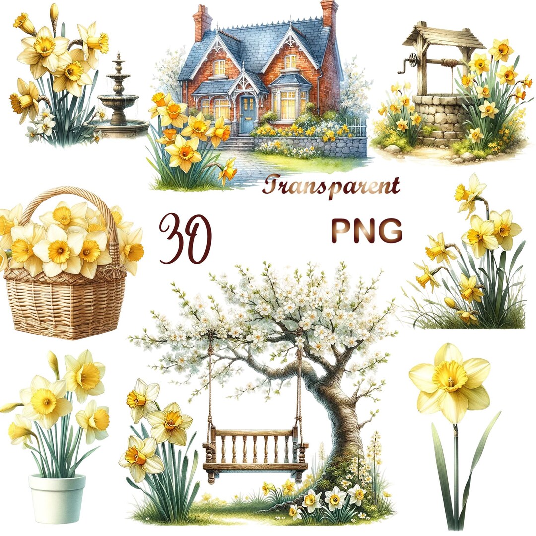 30 PNG Daffodil Clipart Bundle, Watercolor Daffodil Clipart, Floral ...