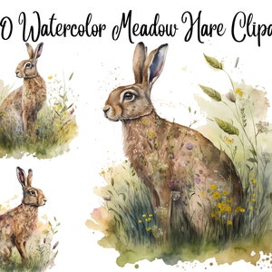 10  Meadow Hare Clipart - High Quality JPGs- Digital Download, Commercisl use, Watercolor, Digital planners, Clip Art, Wall art, Card making