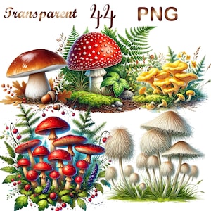 mushroom cluster, spotted mushroom, fairy toadstool, mushroom clipart, watercolor toadstool, forest clipart, magic mushroom, mushroom clip art, watercolor fairy, watercolor forest, watercolor mushroom, nature clip art, white mushroom