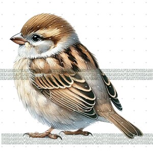 Puede incluir: Ilustraci&oacute;n detallada de un gorri&oacute;n, con plumas marrones, beige y grises. El ave se representa de perfil, destacando su ojo, pico y los intrincados patrones de sus alas. La obra tiene una calidad suave, similar a la acuarela.