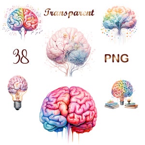38 PNG Watercolor Brain Clipart, Colorful Painted Brain Illustrations, Transparent PNG Graphics, Instant Download for Commercial Use