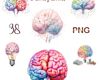 38 PNG Watercolor Brain Clipart, Colorful Painted Brain Illustrations, Transparent PNG Graphics, Instant Download for Commercial Use