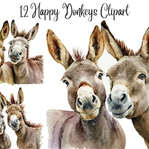 12 Happy Donkeys Clipart, Donkey clipart, JPG, Commercial use,Digital Download, Card Making, Mixed Media,Digital Paper Craft,Watercolor,