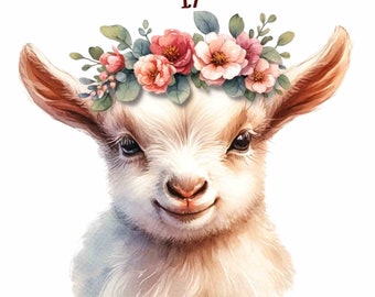 17 imágenes prediseñadas de cabrito, imágenes prediseñadas de cabra, imágenes prediseñadas de cabra PNG, acuarela de cabra PNG, sublimación PNG, fondo transparente, uso comercial