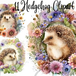 11 Floral Hedgehog JPGs,  Set 2, Commercial Use,  Digital Download, Card Making, Mixed Media, Digital Paper Craft, Watercolor clipart