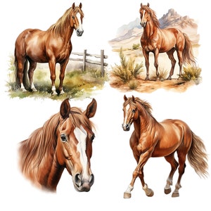 May include: Four watercolor paintings of brown horses with white markings. The horses are in different poses, including standing, running, and looking at the viewer. The paintings are set against a white background.