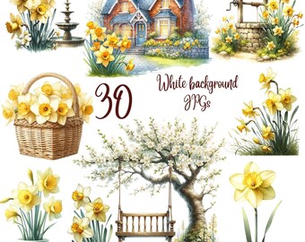 30 JPGs Daffodil Clipart bundle, Watercolor Daffodil clipart, Floral clipart, Summer Clipart, Flowers Clipart,Wedding Invitation