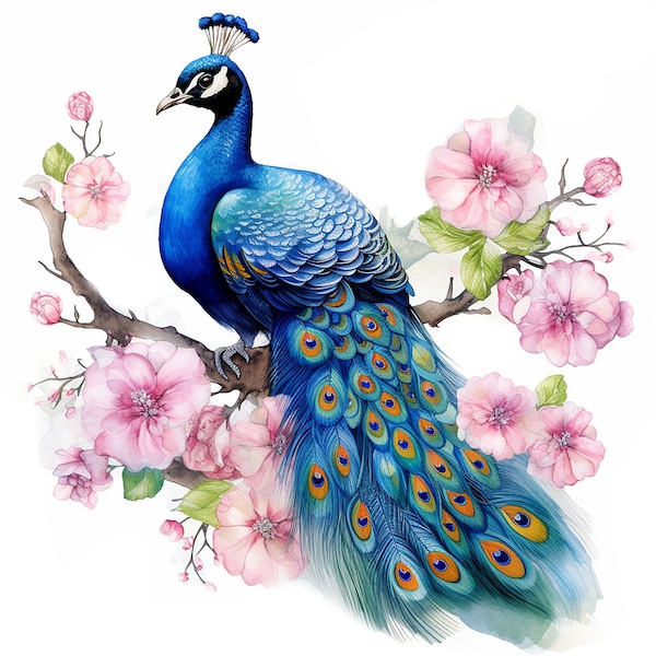 17 Peacock bird Clipart JPGs, Printable Watercolor clipart, Sping Peacock art, Digital download,High resolution, Paper crafts, junk journals