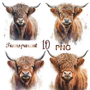 10  Highland Cow bundle, highland cow png, highland cow, cow png, highland cow clipart, highland cow shirt, cute cow png,highland heifer png