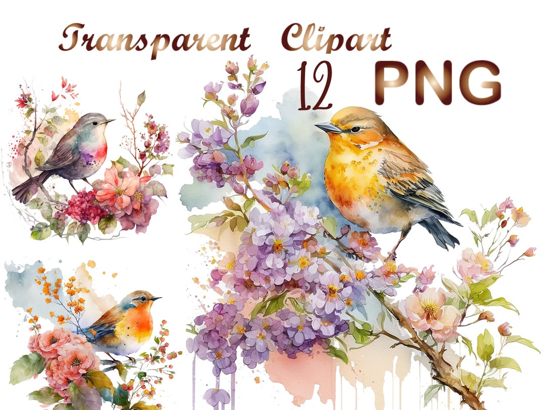12 Floral Bird Png, Floral Bird Clipart, Floral Bird Art, Floral Bird ...