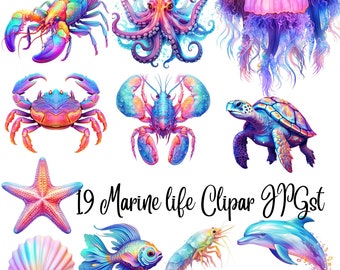 Watercolor Marine life Clipart 19 JPGs, Commercial USe, Digital Download, Paper crafts, Junk Journals,  clipart