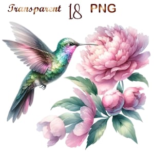 May include: A watercolor painting of a hummingbird with iridescent green and purple feathers, hovering near a pink peony flower with green leaves.