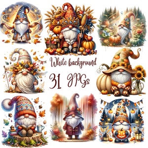 May include: A set of 31 digital images featuring gnomes in various autumnal and Halloween themes. The gnomes are depicted in different poses and wearing colorful clothing, with pumpkins, leaves, and other fall decorations surrounding them. The text "White background 31 JPGs" is displayed in the center of the image.