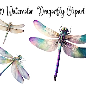 12 Dragonfly Clipart, JPGs, Commercial use, Digital Download, Paper crafts, Junk Journals, Watercolor Dragonfly, dragonflies clipart