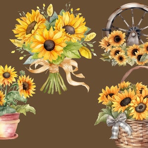 May include: A watercolor painting of sunflowers in various arrangements. The sunflowers are in a bouquet, a basket, and a potted plant. The sunflowers are yellow with brown centers and green leaves. There is also a wooden wagon wheel with sunflowers around it.