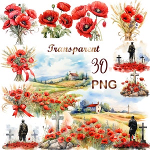 30 cliparts de scène du jour du Souvenir, PNG, coquelicots écarlates, fichiers transparents, téléchargement numérique, créations en papier numérique, fabrication de cartes, usage commercial