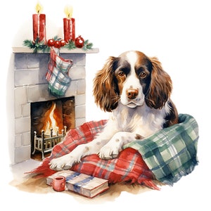 21 Watercolor Christmas  English Springer PNG, Digital Clipart PNG, Portrait English Springer, PNG Bundle, for Commercial Use
