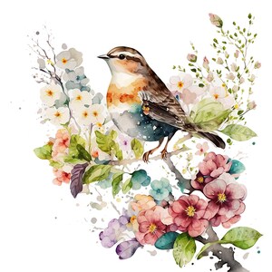 12 Floral Bird Png, Floral Bird Clipart, Floral Bird Art, Floral Bird ...