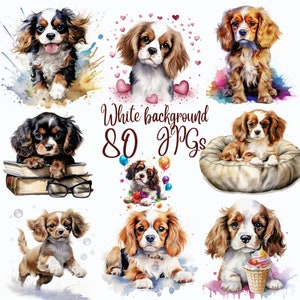 80 JPGs, Cavalier King Charles Spaniel Puppy Clipart Watercolor, Commercial use, Digital Download, Card Making, Clip Art,Digital Paper Craft