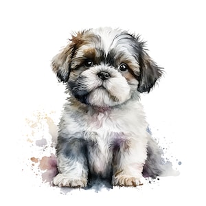 10  Shih Tzu Puppy Clipart JPGs, High Quality JPGs, Watercolor Clipart, Digital Download, Card Making,Clip Art,Digital Paper Craft,Shih Tzu
