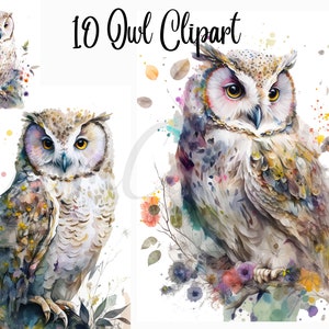 10 Owl Watercolor Clipart, Commercial use,JPGs, Digital Paper Crafting, Mixed Media, Watercolor clipart, Boho clipart, Owl Clipart, Owl