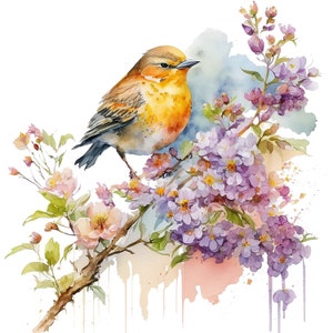 12 Floral Bird Png, Floral Bird Clipart, Floral Bird Art, Floral Bird ...