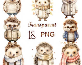 18 Hedgehog clipart, hedgehog png, hedgehog clip art, cute hedgehog, animal clipart, woodland clipart, watercolor hedgehog, commercial use