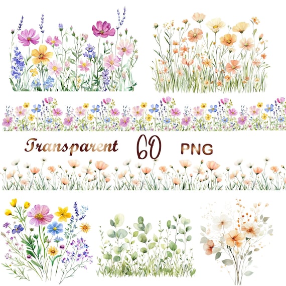60 Watercolor Wildflower PNG Bundle, Pastel Floral Borders, Meadow Flowers Clipart, Botanical Set, Digital Download, Commercial Use