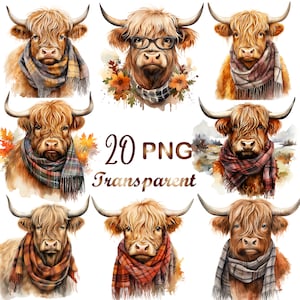20  Highland Cow bundle, highland cow png, highland cow, cow png, highland cow clipart, highland cow shirt, cute cow png,highland heifer png