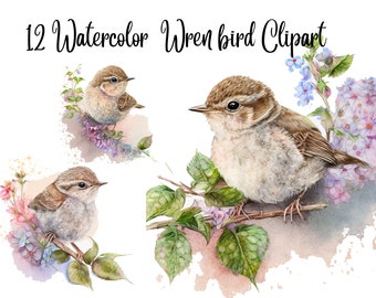 12 Wren bird Clipart, Watercolor clipart, bird clipart, JPGs, Watercolor, Commercial Use,Digital Download, Wall art,Card making,Scrapbooking