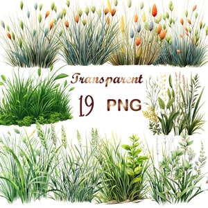 19 Grass Clipart Bundle,Grass Sublimation,Green Meadow Graphics,Grass PNG, Journaling, Commercial use,Digital Download,Card Making,Clip Art