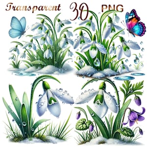 30 PNG set2 Snowdrops Clipart Bundle,Winter  Delicate Flower Illustrations Designs,Instant Digital Download,Unlimited Commercial Use Crafts