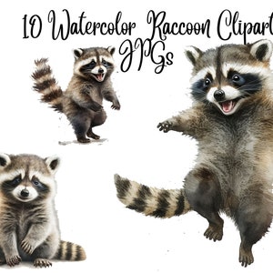 11 Raccoon Clipart, Watercolor Art, JPGs, Commercial use, Digital Download,Watercolor Clipart,Card Making,Clip Art,Digital Paper Craft