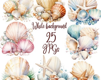 May include: A set of 25 watercolor illustrations of seashells, starfish, and pearls. The illustrations are on a white background and are perfect for creating digital or printed designs.