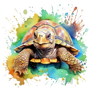 May include: A watercolor painting of a turtle with a brown, yellow, and orange shell. The turtle is surrounded by colorful watercolor splatters.