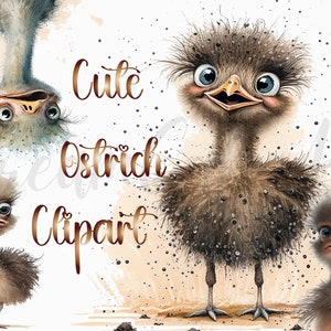 4  Ostrich png, Ostrich Watercolor Clipart, Ostrich clipart, commercial use, digital download, watercolor clipart, ostrich sublimation, bird