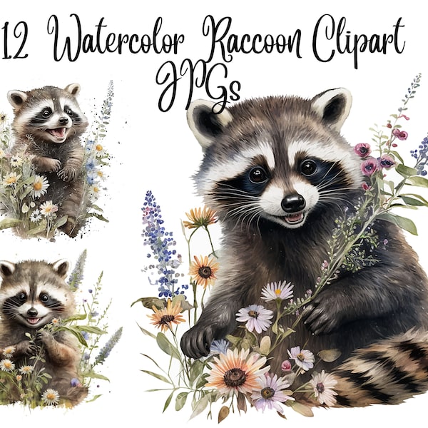 12 Raccoon Clipart, Watercolor Art, JPGs, Commercial use, Digital Download,Watercolor Clipart,Card Making,Clip Art,Digital Paper Craft