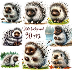 30 JPG Cute Porcupine Clipart bundle, Cute Baby Porcupine Clipart, Porcupines Clipart, Woodland Porcupine, Commercial Use, Digital Download