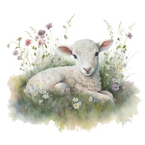 Op de afbeelding: Waterverfillustratie van een wit lam dat rust in een veld met wilde bloemen. Het lam heeft zachte, donzige wol en is omgeven door groen gras en kleurrijke bloemen. Het kunstwerk heeft een zacht, pastoraal gevoel.