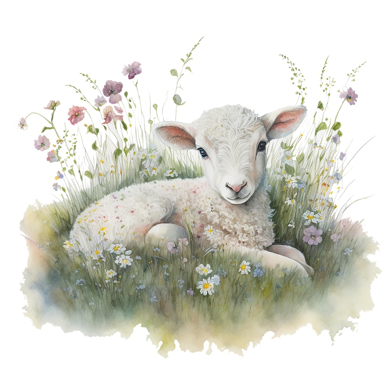 Op de afbeelding: Waterverfillustratie van een wit lam dat rust in een veld met wilde bloemen. Het lam heeft zachte, donzige wol en is omgeven door groen gras en kleurrijke bloemen. Het kunstwerk heeft een zacht, pastoraal gevoel.