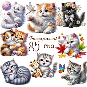 May include: A selection of cute kitten illustrations in different poses. Some kittens are shown with flowers, butterflies, and toys. The image includes the text "Transparent 85 PNG". The kittens are in various colours, including white, orange, and grey.