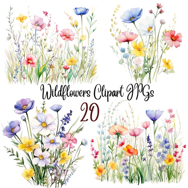 20 Wildflower meadow clipart JPGs, High Quality JPGs, Wild flowers for print,Digital Download - Card Making, Mixed Media,Digital Paper Craft