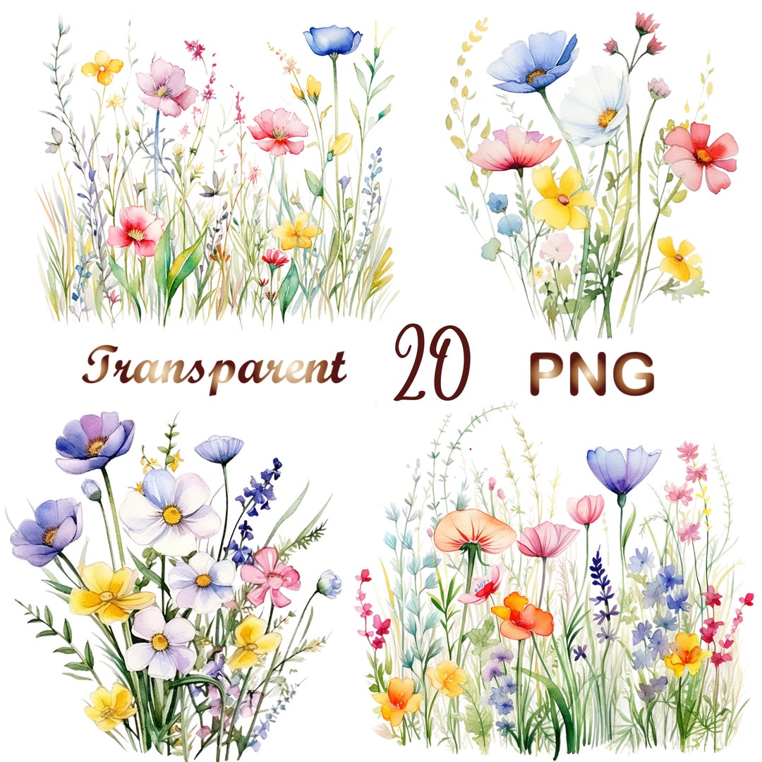 20 Wildflower Meadow Clipart Png,summer Floral Nature Images,wild ...