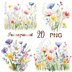 20 Wildblumen Wiese Clipart PNG, Sommer Blumen Natur Bilder, Wildblumen für Druck, Collage, Scrapbook, Junk Journal usw. Freie kommerzielle Nutzung