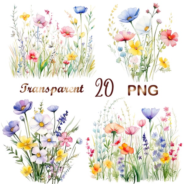 20 cliparts de prairie de fleurs sauvages PNG, images de nature florale d'été, fleurs sauvages pour impression, collage, album, carnet de bord, etc. Utilisation commerciale gratuite