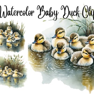 10 Ducklings clipart, baby duck clipart, duckling, animal clipart,watercolor duck,digital illustration,JPGs, Commercial Use,Digital Download